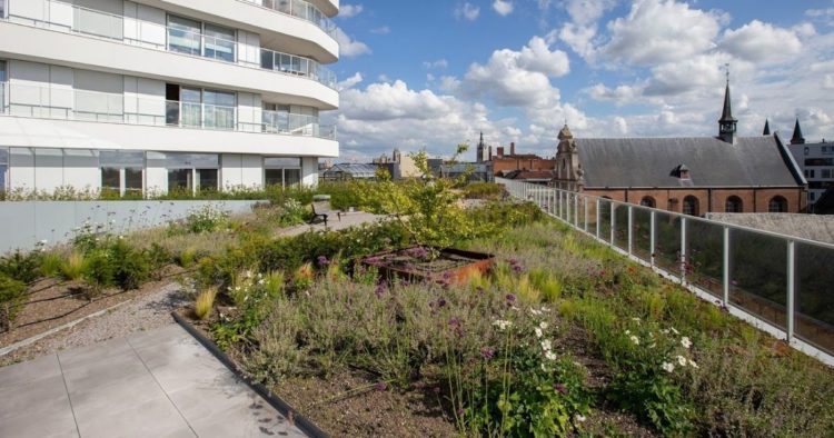 toiture végétalisée intensive