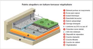 toiture terrasse végétalisée
